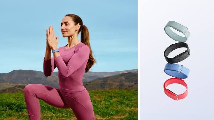 Fitbit Air Fitness Tracker: Complete Guide, Features and Insights